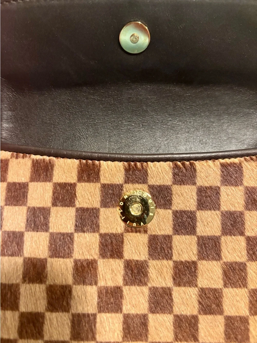 Louis Vuitton Damier Sauvage Gazelle shoulder bag